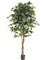 Stunning 6-Foot Artificial Ficus Tree with 1008 Lush Leaves - Elegant Home & Office Decor, Floral Home by Artificial Flowers